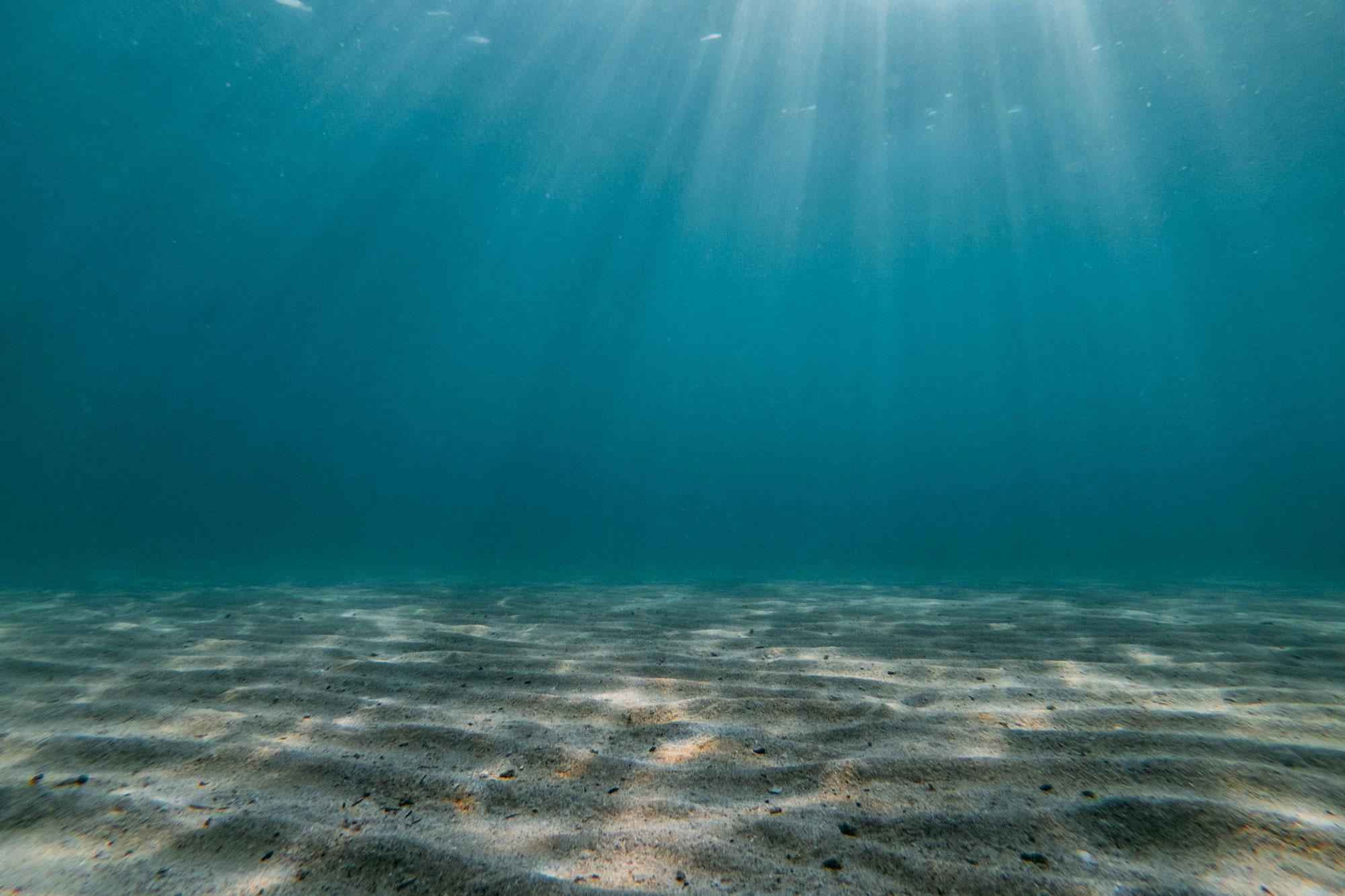 Quando i microrganismi marini morti affondano più lentamente, il clima ne risente