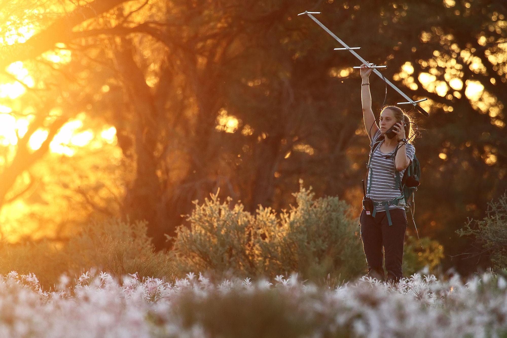 Nuova procedura di nomina e selezione per il Premio Marie Heim-Vögtlin