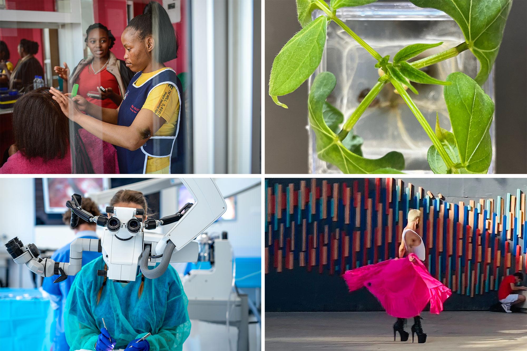 Rapporto annuale 2024