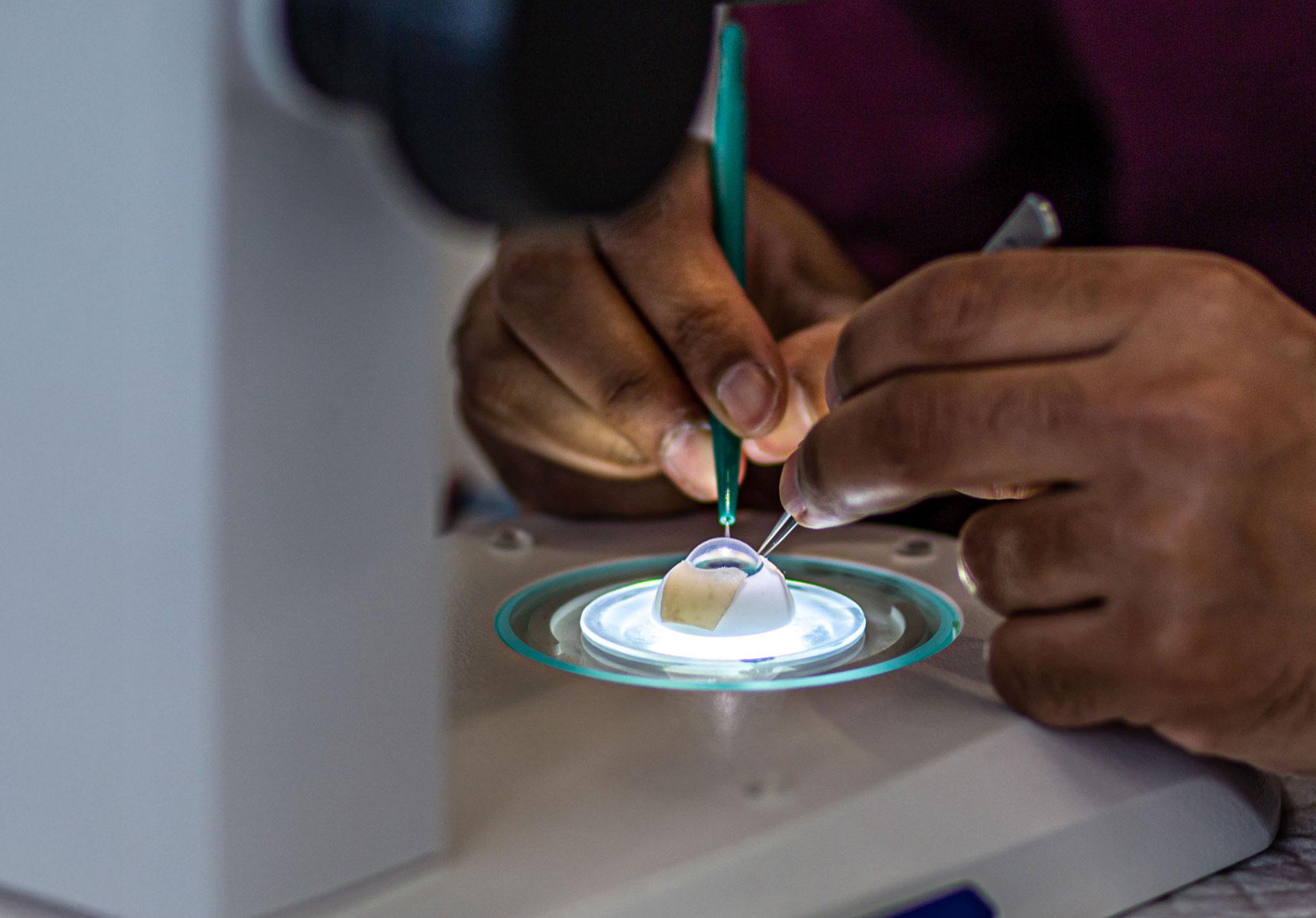 Foto: Julien Busset / SNSF Scientific Image Competition