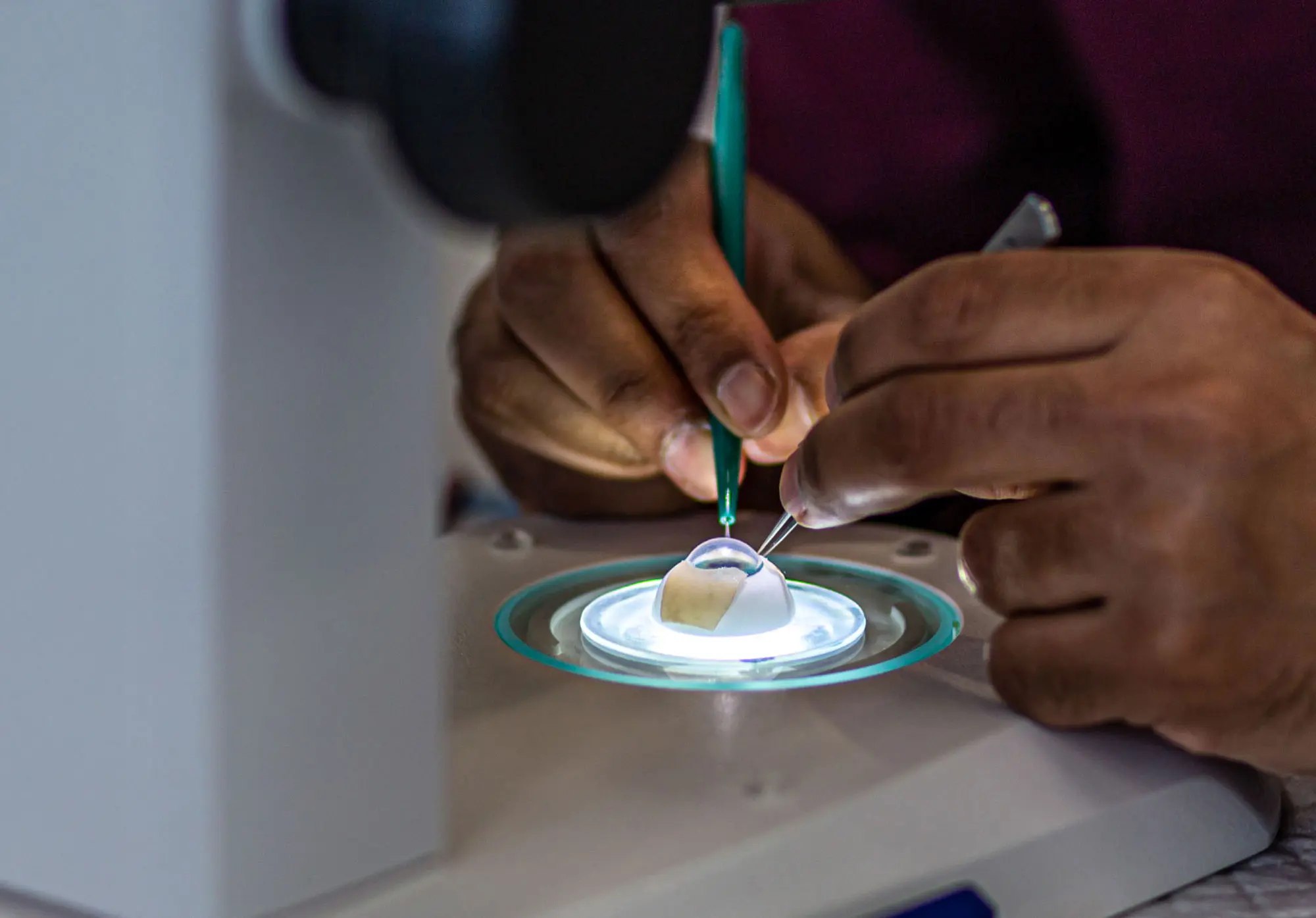 Foto: Julien Busset / SNSF Scientific Image Competition 