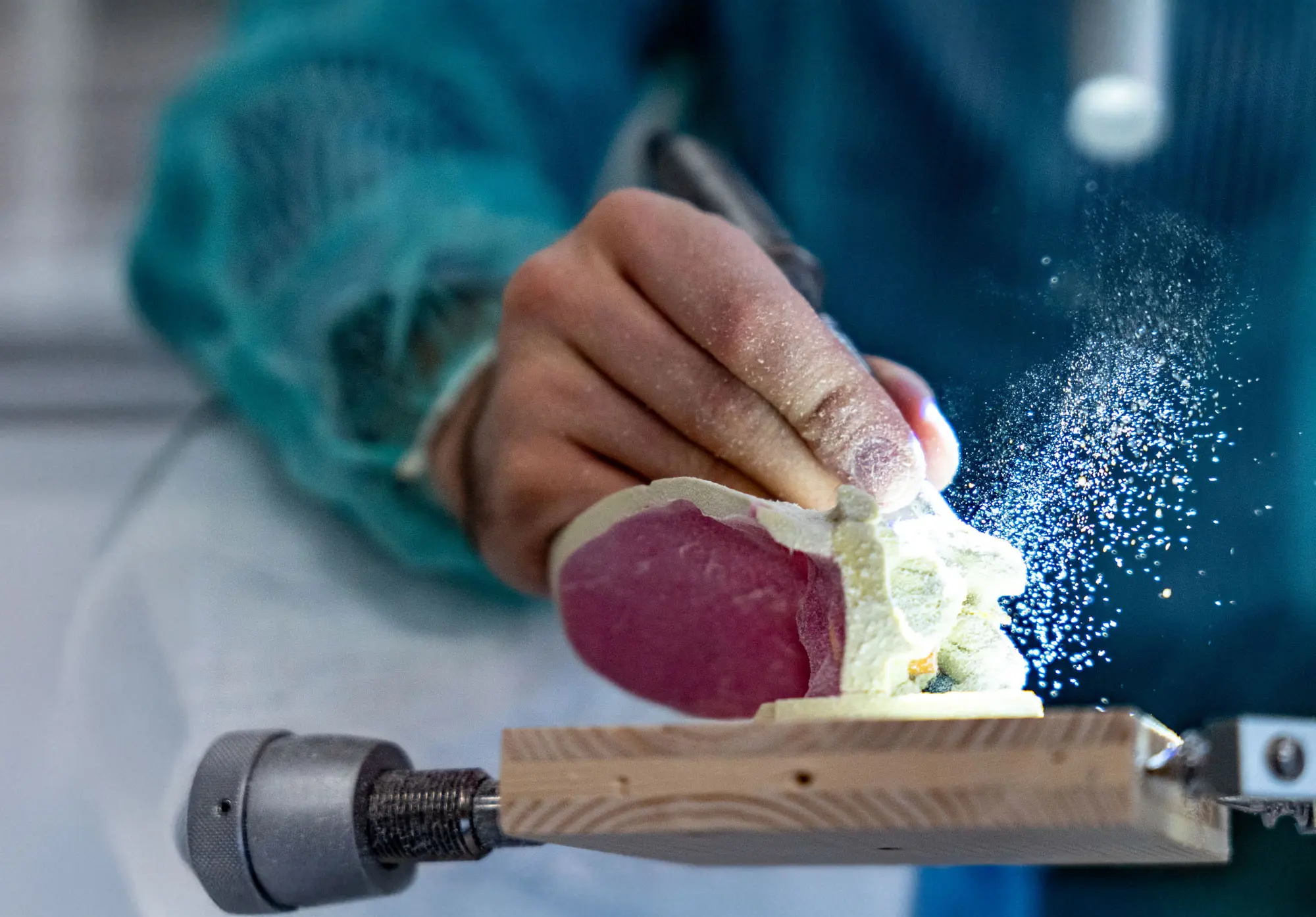 Foto: Julien Busset / SNSF Scientific Image Competition 