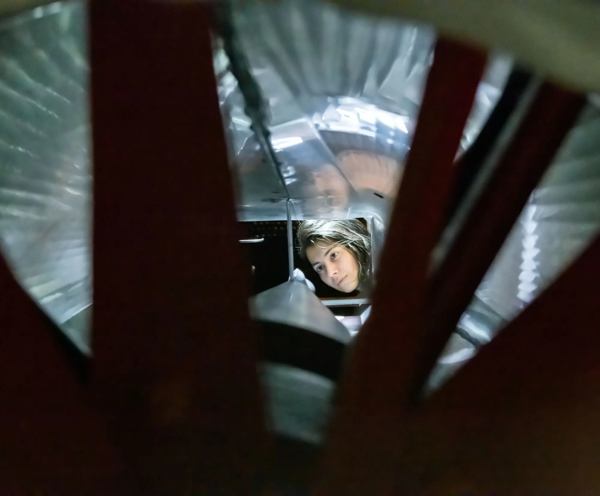 Foto: Ruiliang Lin / SNSF Scientific Image Competition