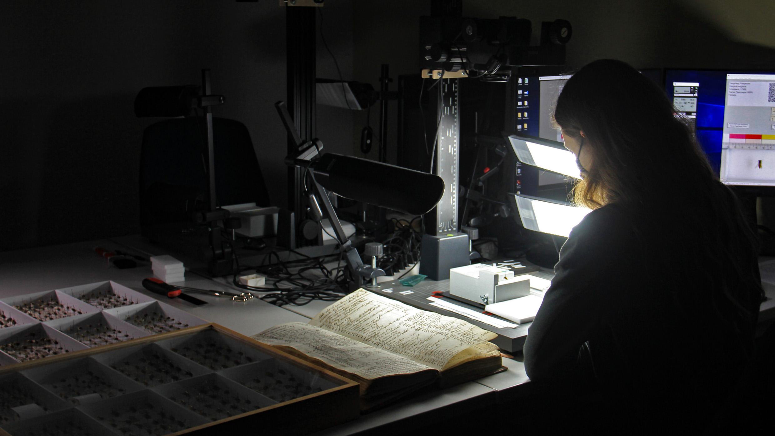 Foto: Fabienne Meier / SNSF Scientific Image Competition