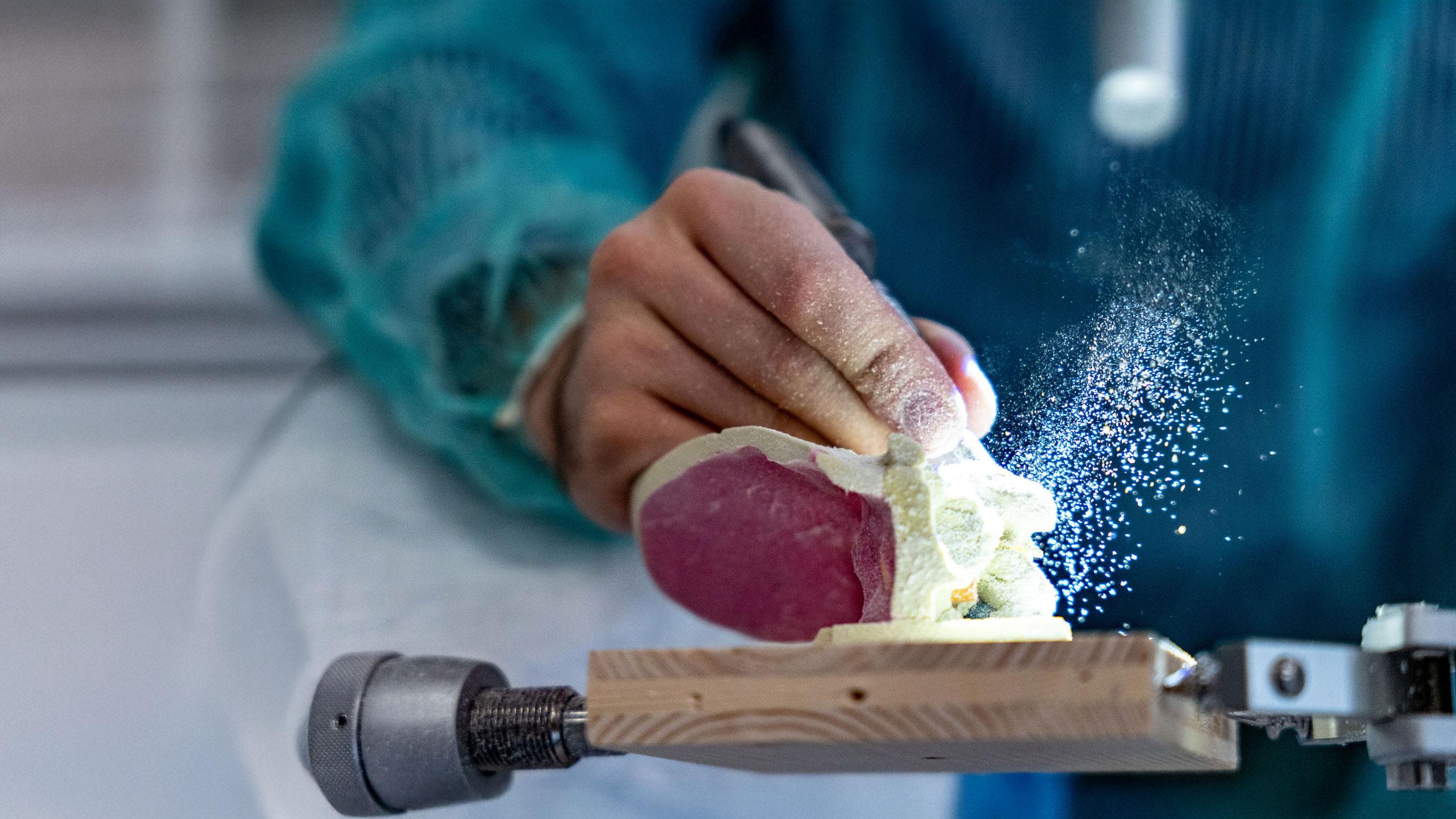 Foto: Julien Busset / SNSF Scientific Image Competition