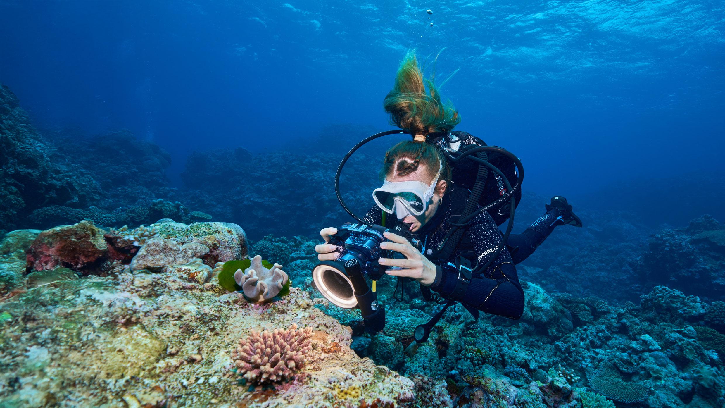 Foto: Dr. Guilhem Banc-Prandi / SNSF Scientific Image Competition