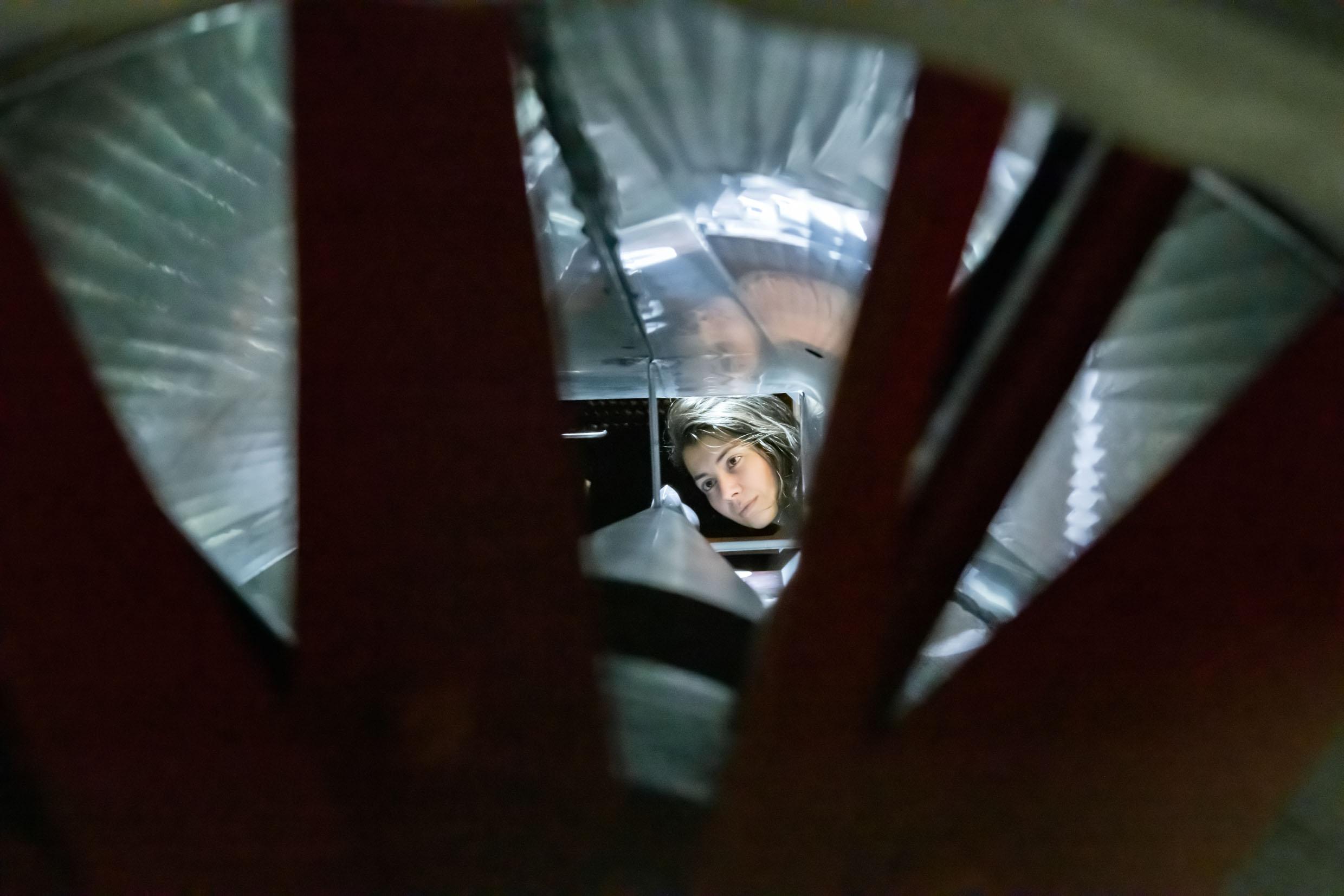 Foto: Ruiliang Lin / SNSF Scientific Image Competition